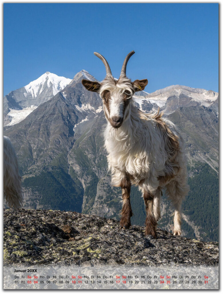 A3 hoch weisser transparenter balken