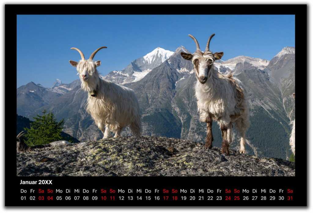 A4 landscape ppp schwarz