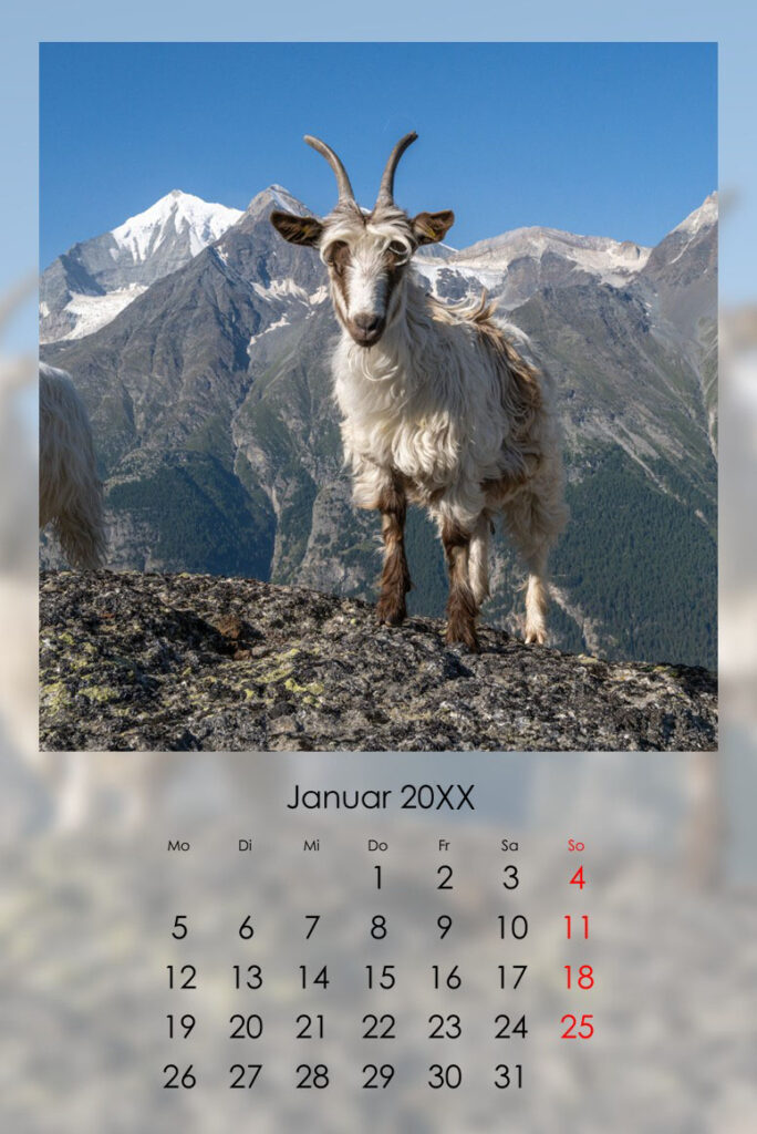 A4 Hoch grosses Kalendarium