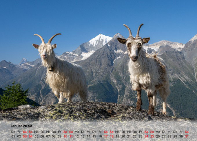 Tischkalender 13x18 querformat weisser transparenter Balken